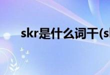 skr是什么詞干(skr是什么意思想中文)