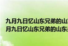 九月九日憶山東兄弟的山東是什么意思異鄉(xiāng)指的是什么（九月九日憶山東兄弟的山東是什么意思）