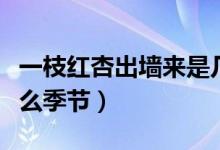 一枝紅杏出墻來(lái)是幾月（一枝紅杏出墻來(lái)是什么季節(jié)）