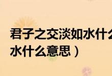 君子之交淡如水什么意思英語（君子之交淡如水什么意思）