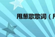 甩蔥歌歌詞（甩蔥歌歌詞是什么）