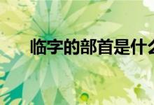 臨字的部首是什么（除去部首剩幾畫(huà)）