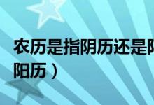 農(nóng)歷是指陰歷還是陽歷呀（農(nóng)歷是指陰歷還是陽歷）