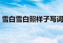 雪白雪白照樣子寫詞語（類似的詞語有哪些）