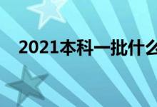 2021本科一批什么時(shí)候錄?。ㄤ浫r(shí)間）