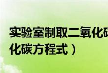 實驗室制取二氧化碳裝置圖（實驗室制取二氧化碳方程式）