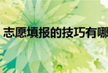 志愿填報的技巧有哪些（怎么報志愿比較好）