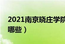 2021南京曉莊學(xué)院專業(yè)排名（最好的專業(yè)有哪些）