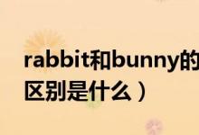 rabbit和bunny的區(qū)別（rabbit和bunny的區(qū)別是什么）