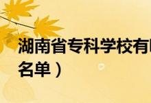 湖南省?？茖W(xué)校有哪些（2022最新高職院校名單）