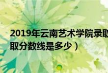 2019年云南藝術學院錄取分數(shù)線（2019年云南藝術學院錄取分數(shù)線是多少）