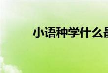 小語種學(xué)什么最好（哪個(gè)有前途）