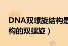 DNA雙螺旋結構是什么（dna分子是什么結構的雙螺旋）