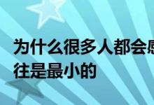 為什么很多人都會感覺到家里最精明的孩子往往是最小的