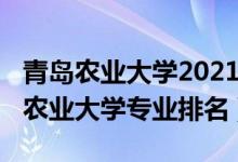 青島農(nóng)業(yè)大學(xué)2021年全國(guó)排名（2022年青島農(nóng)業(yè)大學(xué)專業(yè)排名）