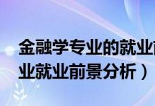 金融學(xué)專業(yè)的就業(yè)前景分析（2022金融學(xué)專業(yè)就業(yè)前景分析）