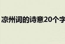 涼州詞的詩(shī)意20個(gè)字（涼州詞的詩(shī)意是什么）