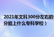 2021年文科300分左右的公辦專科大學（2022高考文科300分能上什么?？茖W校）