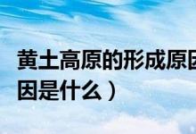 黃土高原的形成原因新聞（黃土高原的形成原因是什么）