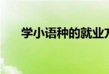 學(xué)小語種的就業(yè)方向（畢業(yè)能干什么）