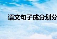 語文句子成分劃分詳解（語文句子成分）