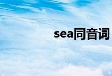 sea同音詞（seat的用法）