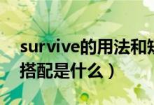 survive的用法和短語（survive用法及短語搭配是什么）