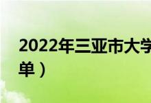 2022年三亞市大學(xué)有哪些（最新三亞學(xué)校名單）