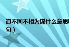 道不同不相為謀什么意思?。ǖ啦煌幌酁橹\什么意思下一句）