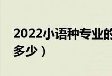 2022小語種專業(yè)的就業(yè)前景怎么樣（薪酬是多少）