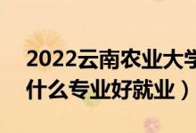 2022云南農(nóng)業(yè)大學(xué)適合女生的專業(yè)有哪些（什么專業(yè)好就業(yè)）