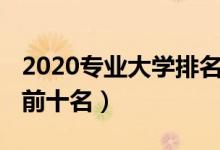 2020專業(yè)大學(xué)排名（2022大學(xué)熱門專業(yè)排名前十名）