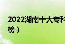 2022湖南十大?？茖W校排名（高職院校排行榜）