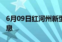 6月09日紅河州新型冠狀病毒肺炎疫情最新消息