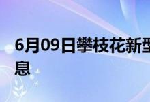 6月09日攀枝花新型冠狀病毒肺炎疫情最新消息