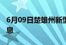 6月09日楚雄州新型冠狀病毒肺炎疫情最新消息