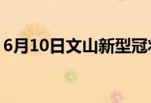 6月10日文山新型冠狀病毒肺炎疫情最新消息