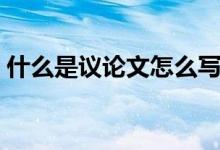 什么是議論文怎么寫（高中議論文寫作技巧）