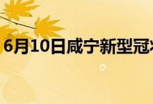 6月10日咸寧新型冠狀病毒肺炎疫情最新消息