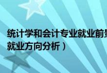 統(tǒng)計學和會計專業(yè)就業(yè)前景（2022年統(tǒng)計學專業(yè)就業(yè)前景和就業(yè)方向分析）