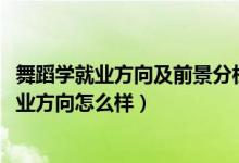 舞蹈學(xué)就業(yè)方向及前景分析（2022舞蹈學(xué)專業(yè)就業(yè)前景和就業(yè)方向怎么樣）