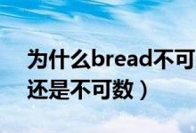 為什么bread不可數(shù)cake可數(shù)（bread可數(shù)還是不可數(shù)）