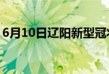 6月10日遼陽新型冠狀病毒肺炎疫情最新消息