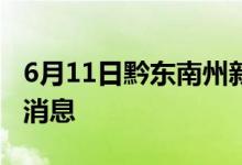 6月11日黔東南州新型冠狀病毒肺炎疫情最新消息