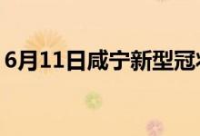 6月11日咸寧新型冠狀病毒肺炎疫情最新消息