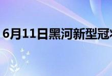 6月11日黑河新型冠狀病毒肺炎疫情最新消息