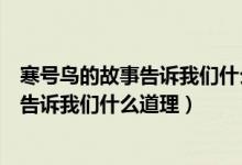 寒號鳥的故事告訴我們什么道理用一句名言（寒號鳥的故事告訴我們什么道理）