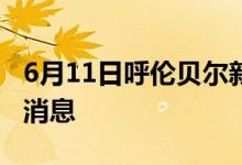 6月11日呼倫貝爾新型冠狀病毒肺炎疫情最新消息