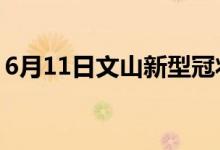 6月11日文山新型冠狀病毒肺炎疫情最新消息