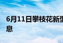 6月11日攀枝花新型冠狀病毒肺炎疫情最新消息